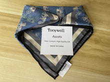 Load image into Gallery viewer, Tonywell Silk Ascot Tie