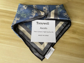 Tonywell Silk Ascot Tie