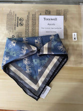 Load image into Gallery viewer, Tonywell Silk Ascot Tie