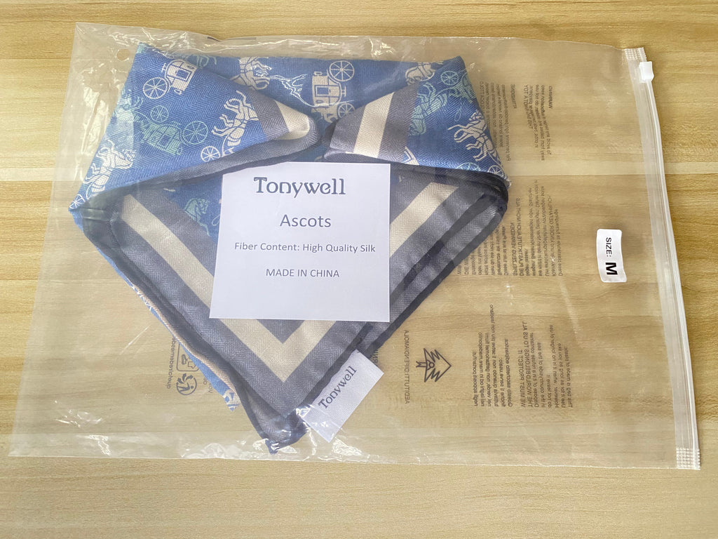 Tonywell Silk Ascot Tie