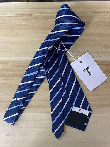 T Men's Classic Blue Striped Tie