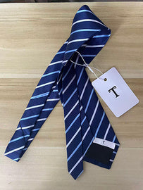 T Men's Classic Blue Striped Tie
